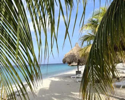 2-1-scaled-e1639412757698